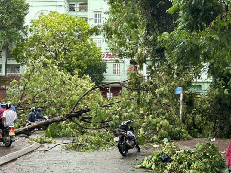 Chi phí tổn thất do bão Yagi: Doanh nghiệp có được tính vào chi phí được trừ khi xác định thu nhập chịu thuế TNDN?