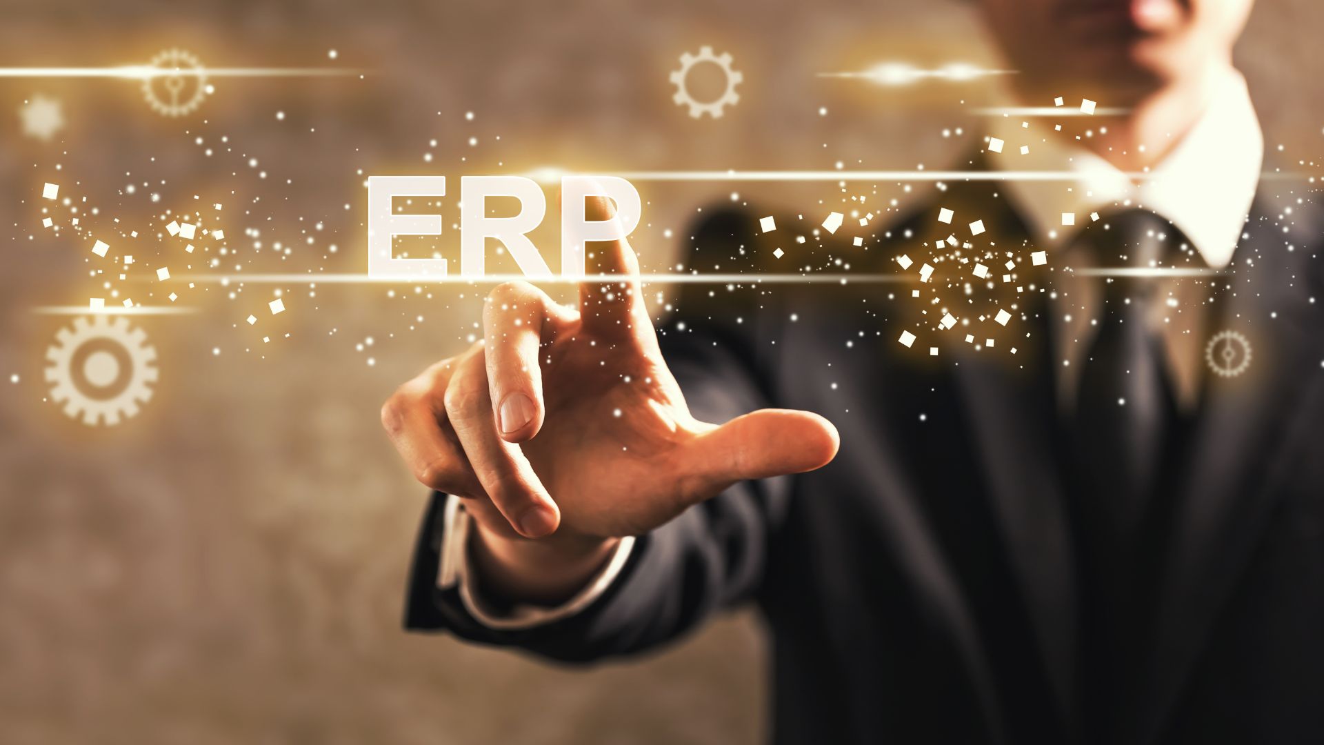 02 ERP implementation and optimization