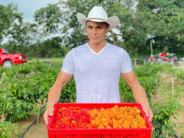 Fire of profession meets fire of passion: Lessons in cash flow management and growth from Love & Spice 2 Mr. Michael Phan - CEO & Co-founder of Love & Spice