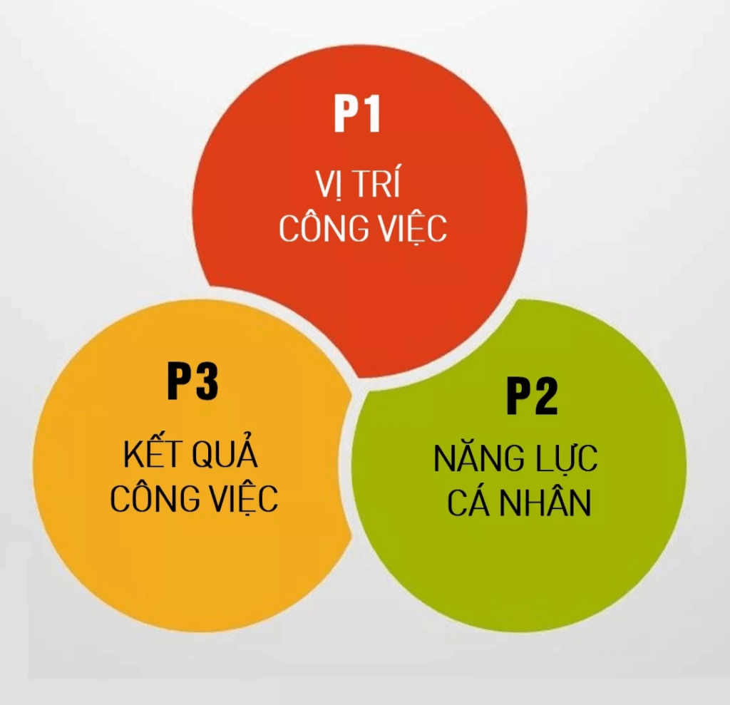 mo hinh luong 3p chi phi nhan su bizzi
