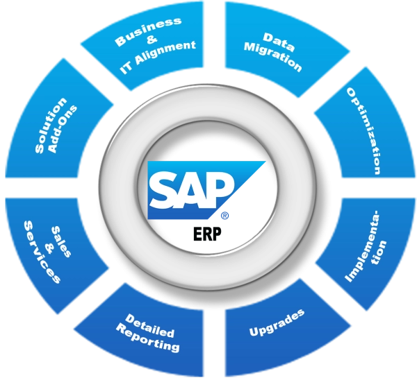 phần mềm kế toán sap 1