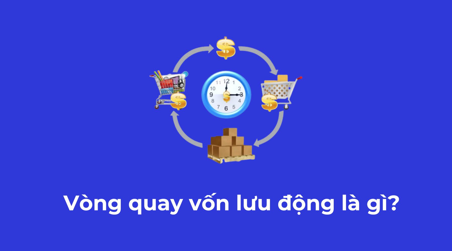 vong quay von luu dong la gi
