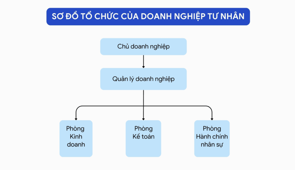 Sơ đồ tổ chức doanh nghiệp tư nhân