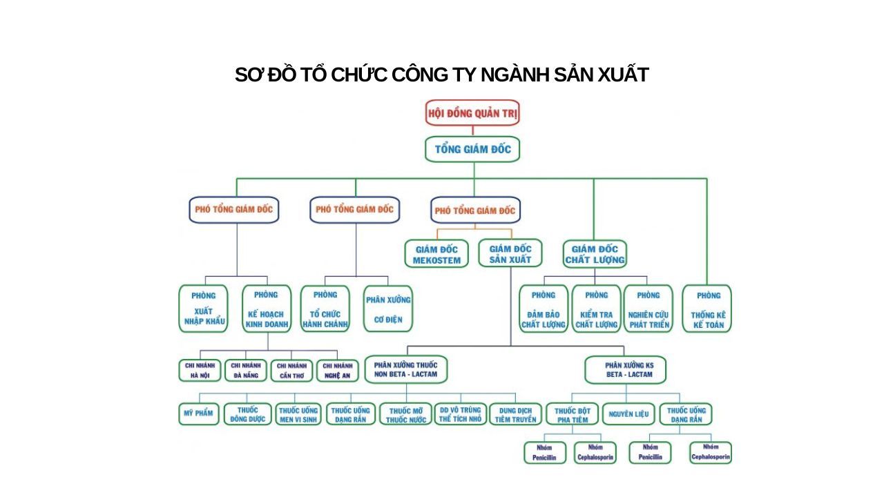 So_do_to_chuc_cong_ty_12_03c2c2f87c