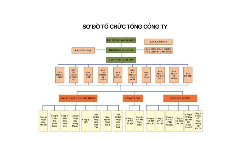 sơ đồ tổ chức theo loại hình công ty