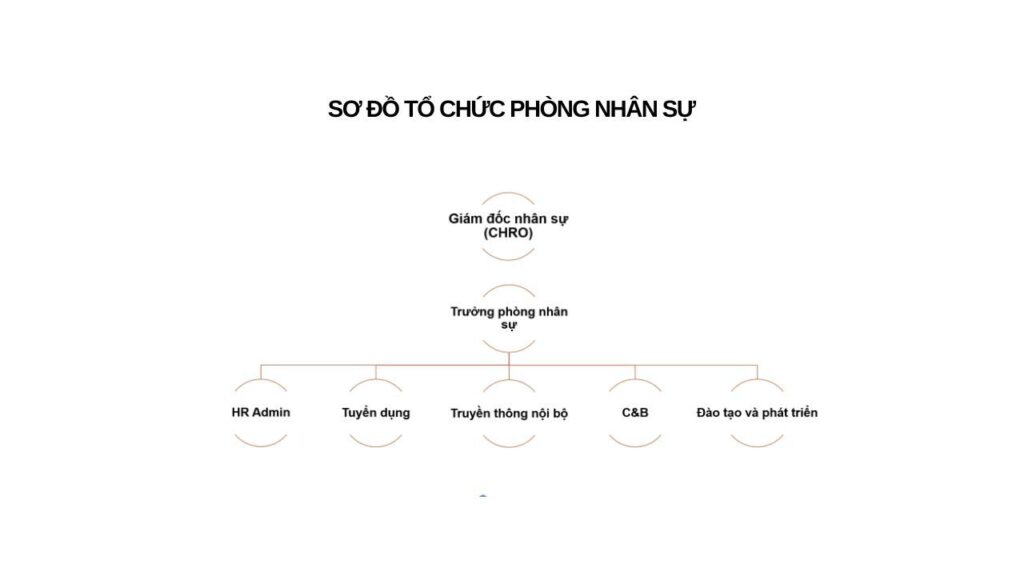 So_do_to_chuc_cong_ty_18_75db4c46c1
