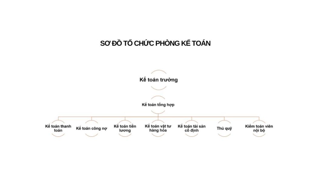 So_do_to_chuc_cong_ty_18_75db4c46c1