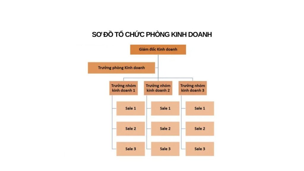 So do to chuc cong ty 20 227bdc9e5d
