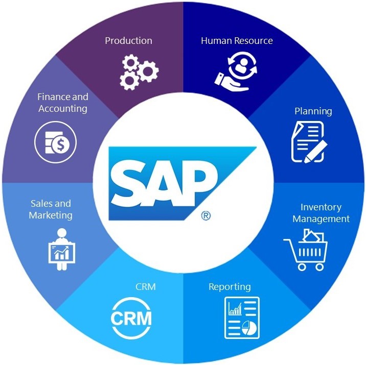 phan-mem-oracle-sap 3